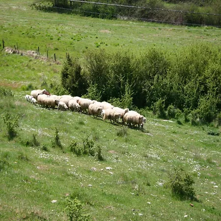 Farmhouse Passignano Near Lake Trasimeno, Cleaning Included Ferienhaus *