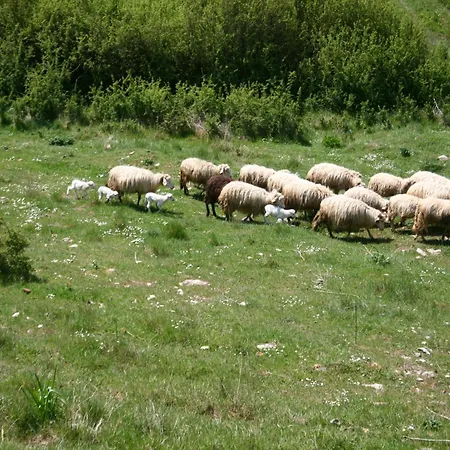 Farmhouse Passignano Near Lake Trasimeno, Cleaning Included Passignano sul Trasimeno